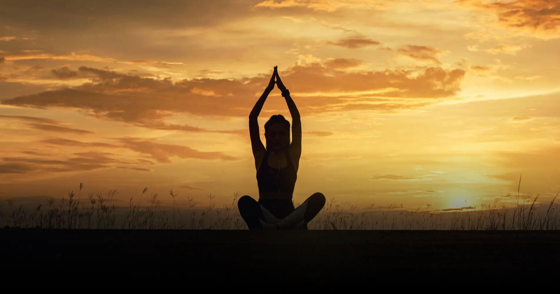 Health and Wellness