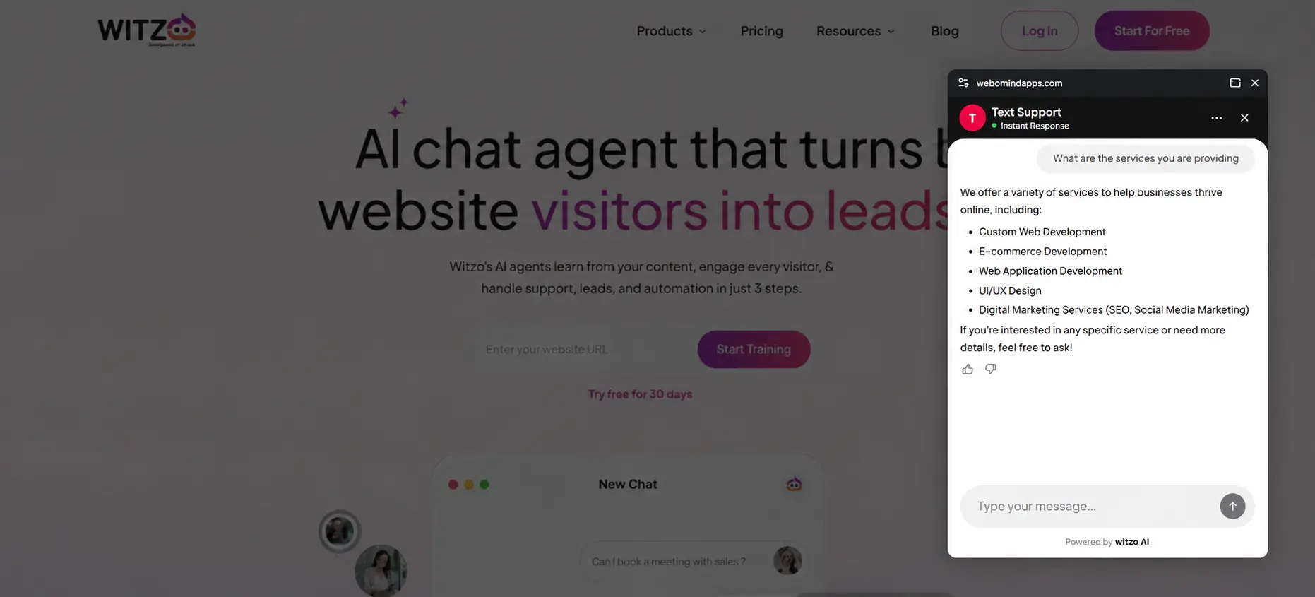 Click to zoom Picture-in-Picture floating widget example