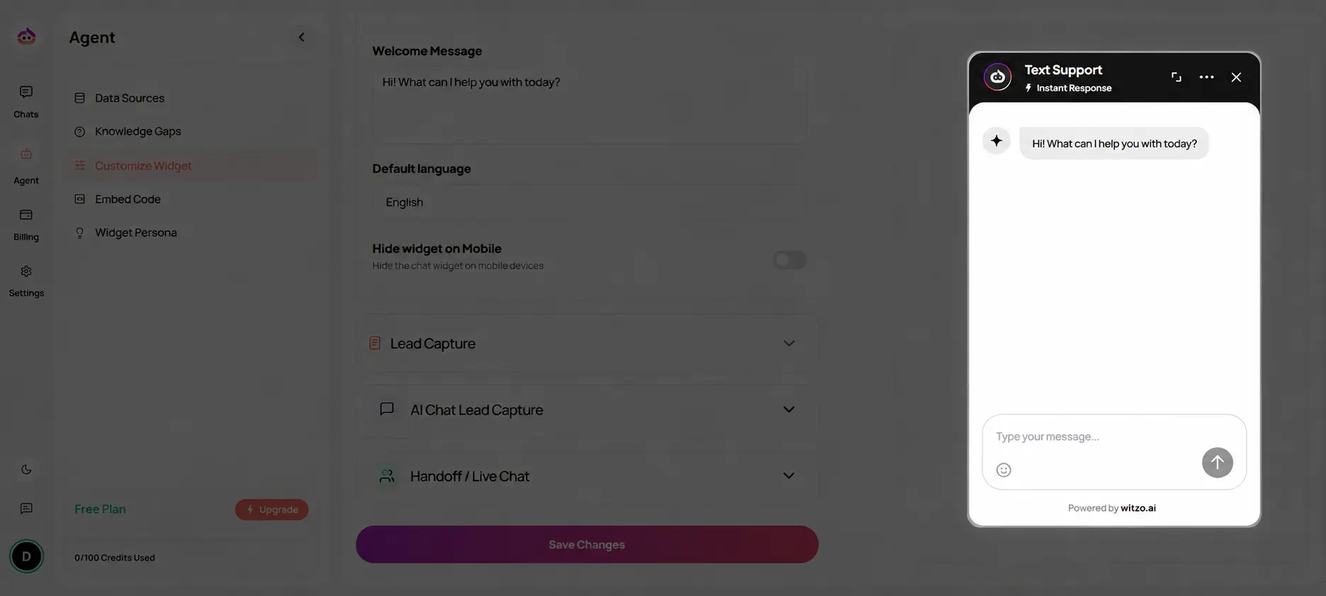 Click to zoom Widget customization preview panel